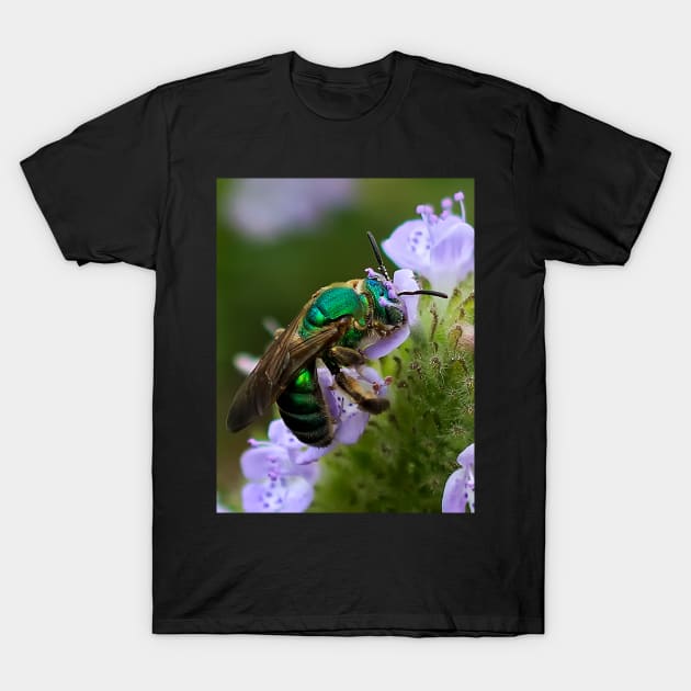 Green bee on flower T-Shirt by joesaladino